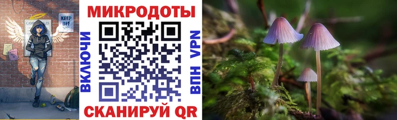 Галлюциногенные грибы ЛСД  гидра как зайти  Зима  дарнет шоп 