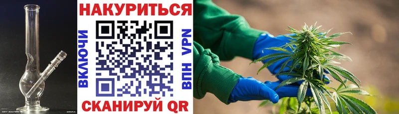 Канабис SATIVA & INDICA  купить наркотики цена  Зима 